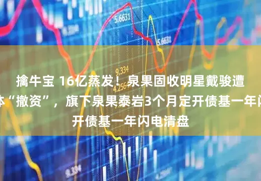 擒牛宝 16亿蒸发！泉果固收明星戴骏遭机构集体“撤资”，旗下泉果泰岩3个月定开债基一年闪电清盘