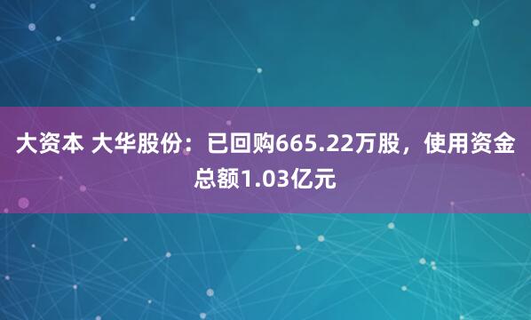 大资本 大华股份：已回购665.22万股，使用资金总额1.03亿元