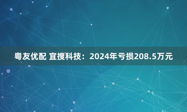 粤友优配 宜搜科技：2024年亏损208.5万元