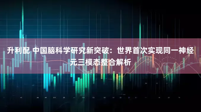 升利配 中国脑科学研究新突破:世界首次实现同一神经元三模态整合解析